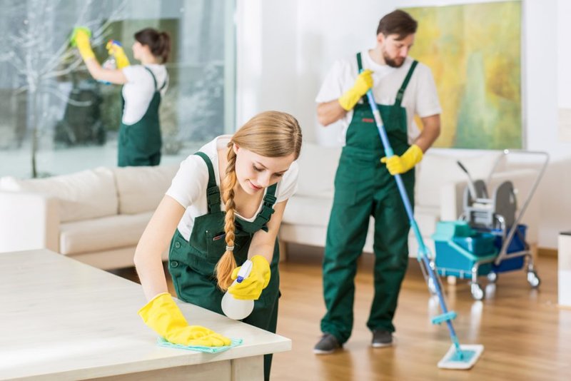 Cleaning Duties - servicii curatenie